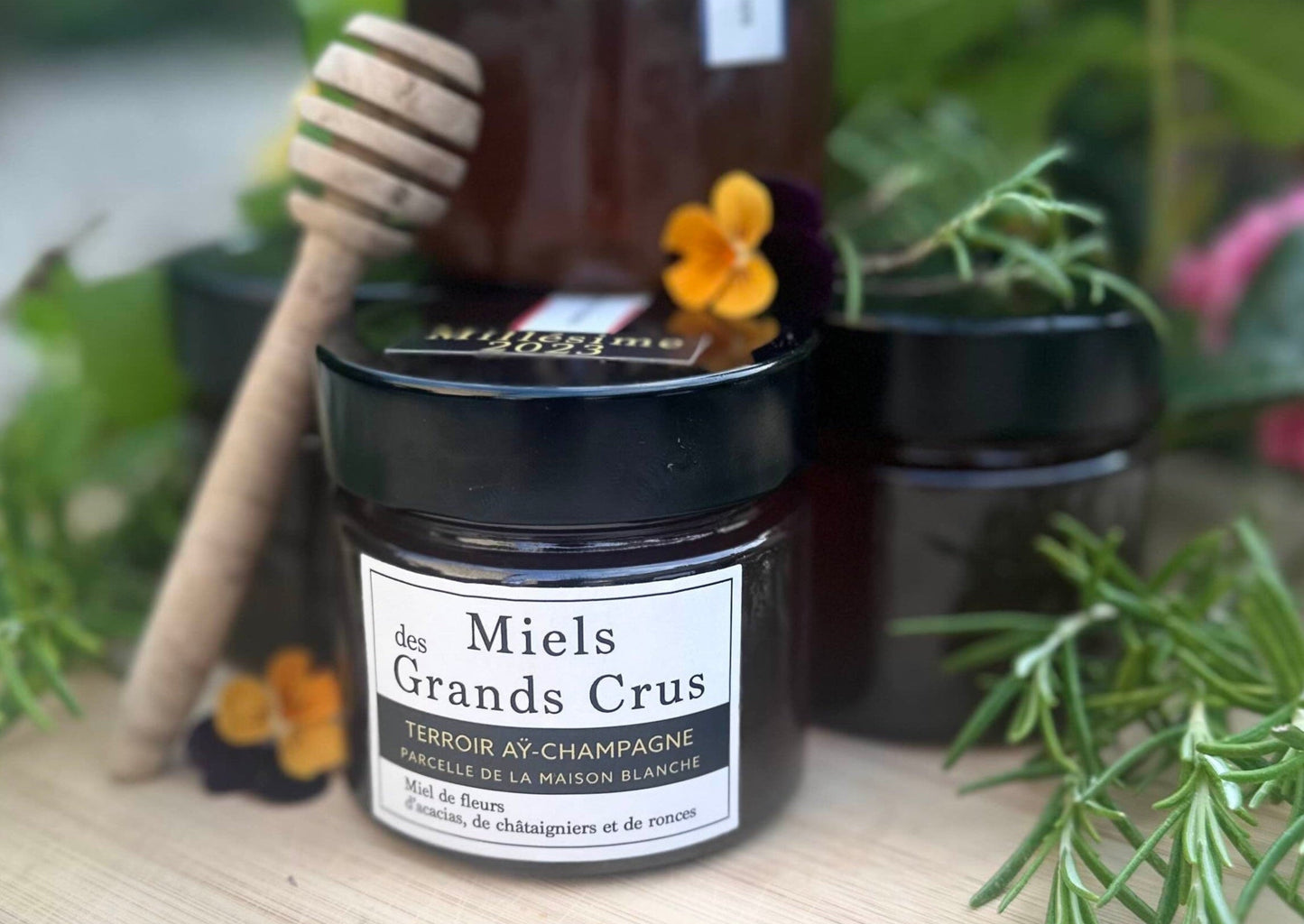 Miel de Forêt – Millésime 2025 | Grand Cru d’Aÿ-Champagne – 250g