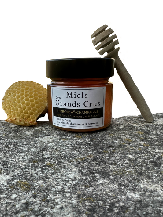 miel de forêt de miellée champenoise