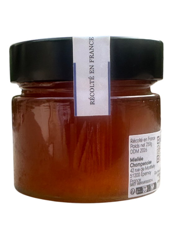 Miel de Forêt – Millésime 2023 | Grand Cru d’Aÿ-Champagne – 250g